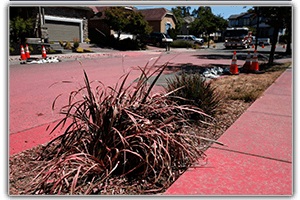 Streets and plants covered in red fire retardant
